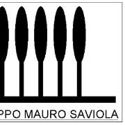 gruppo–saviola.jpg
