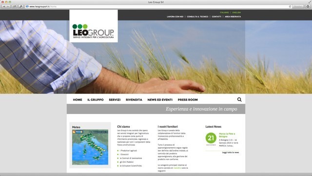 Leogroup