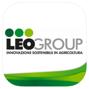 Leogroup