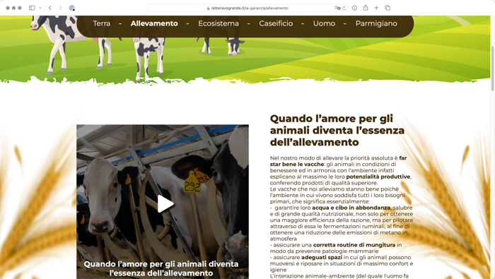 benessere animale